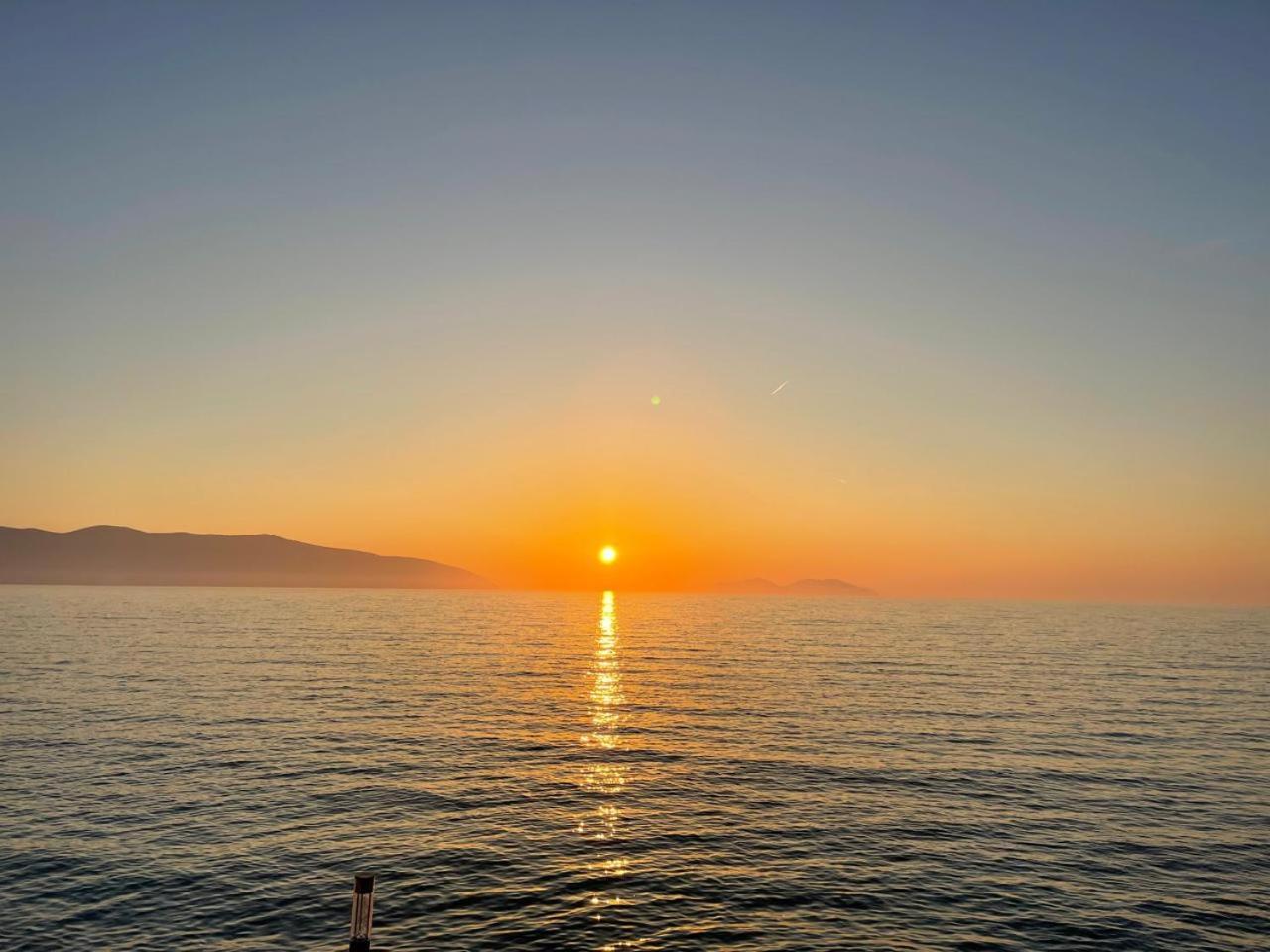 Petit Ritz * Vlorë